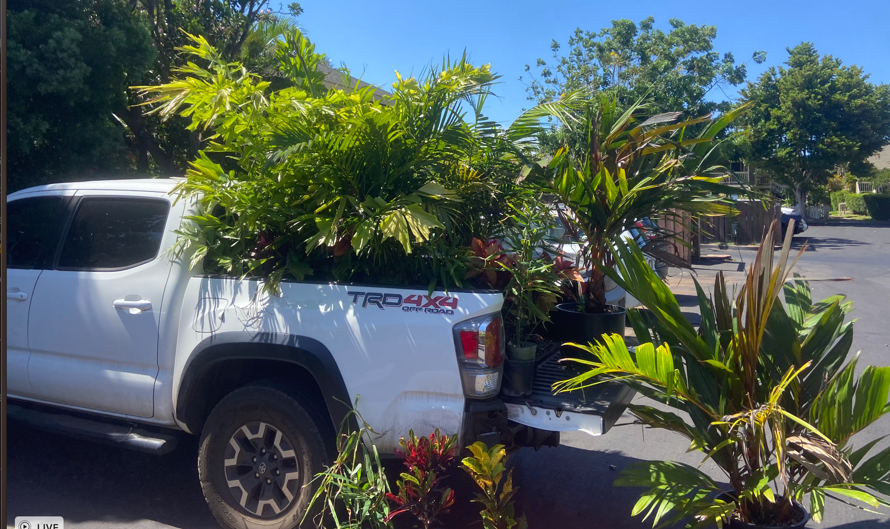 Maui Landscape Service Sign up for Regular Landscape Service & Maintenance