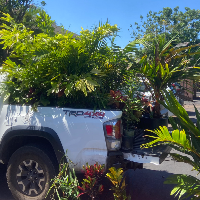 Maui Landscape Service Sign up for Regular Landscape Service & Maintenance