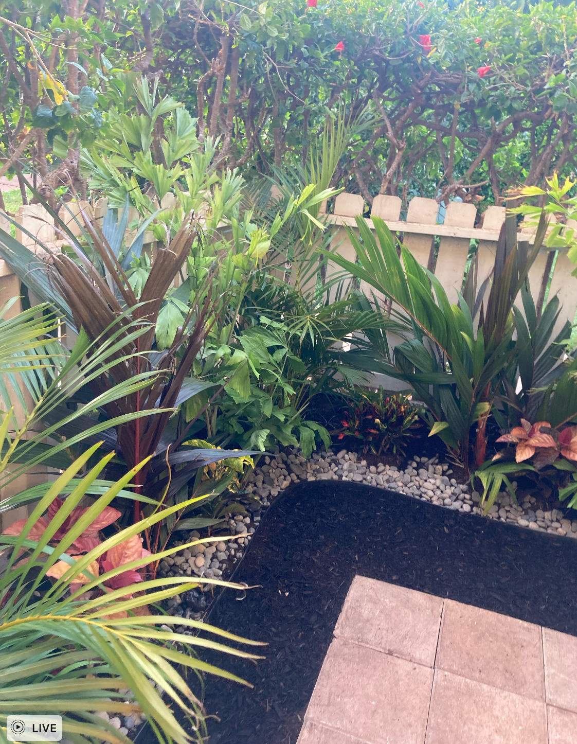 Maui Condo Landscape Designs