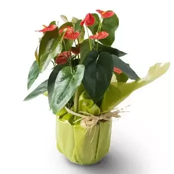 Hearts On A Stem - Simple Loving Gift That Grows