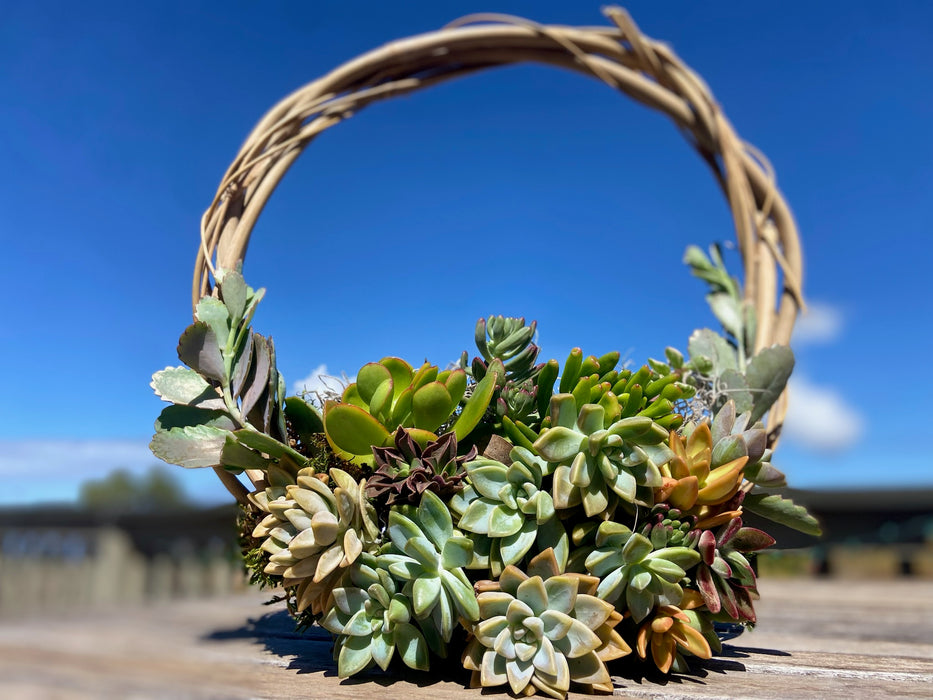 Rustic Succulent Wreath