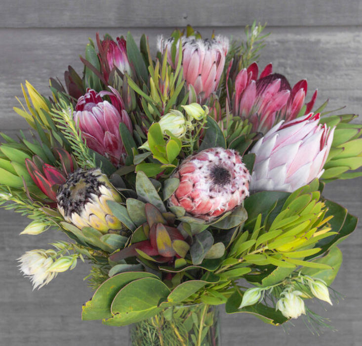 Kula Maui Protea - Country Bouquet