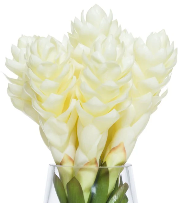 Deal of the Week - White Ginger Plant with a White Ginger Bouquet