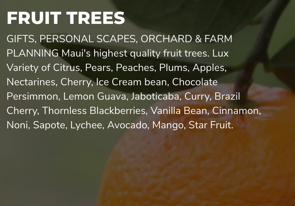 Orchard Packages for the humble gardener