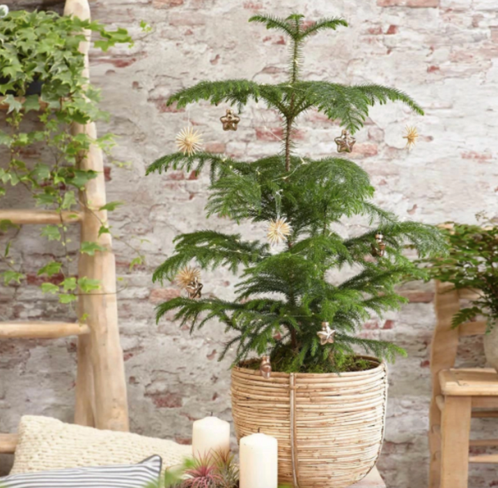 Table Top Potted Christmas Tree