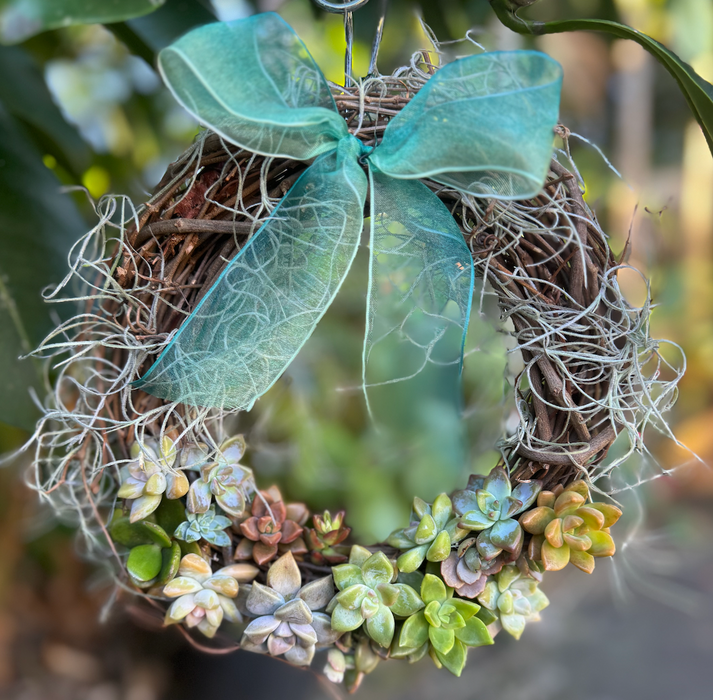 New Year Sentiment - Succulent Wreath