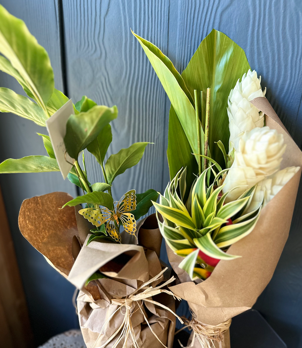 Deal of the Week - White Ginger Plant with a White Ginger Bouquet