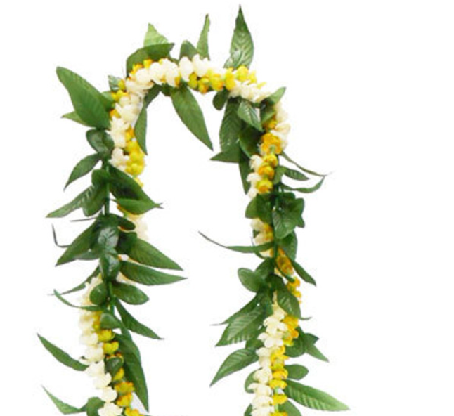 Lei Flower Package