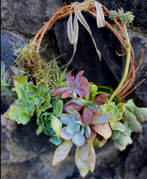 Rustic Succulent Wreaths