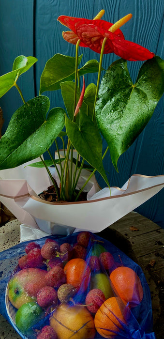 Exotic Tropical Fruit & Plant Basket