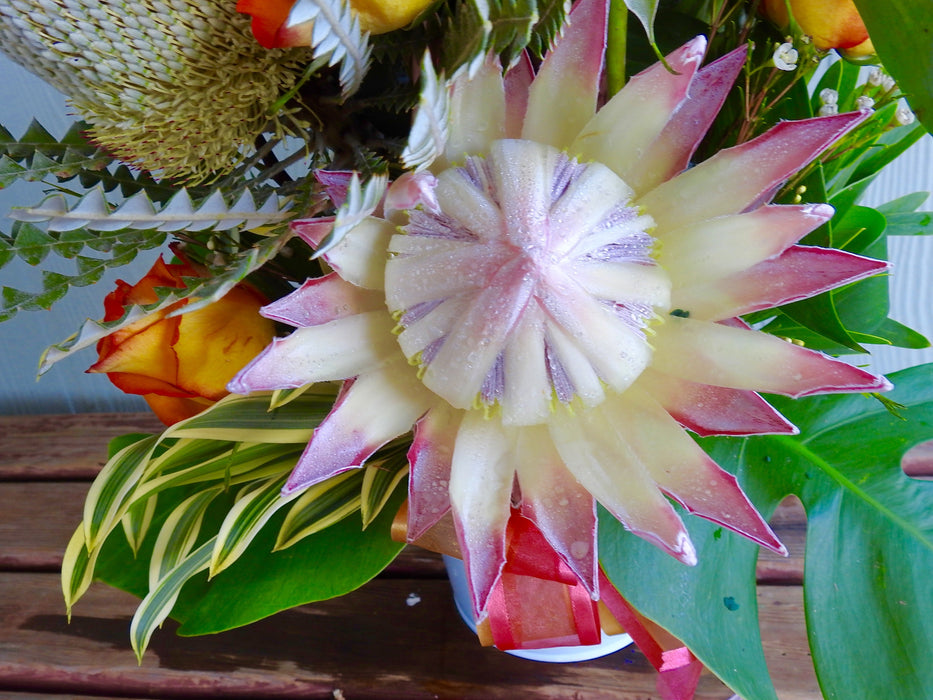 Kula Grown Protea