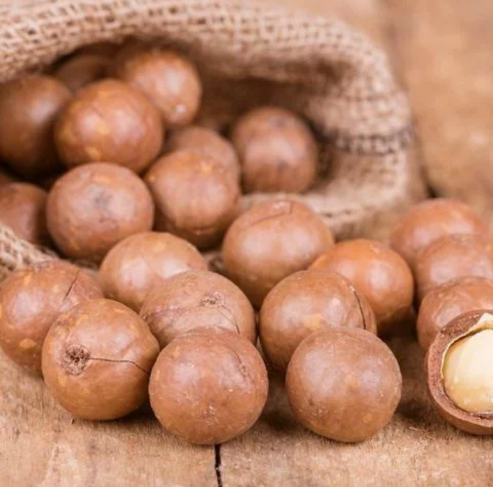 Macadamia Nut