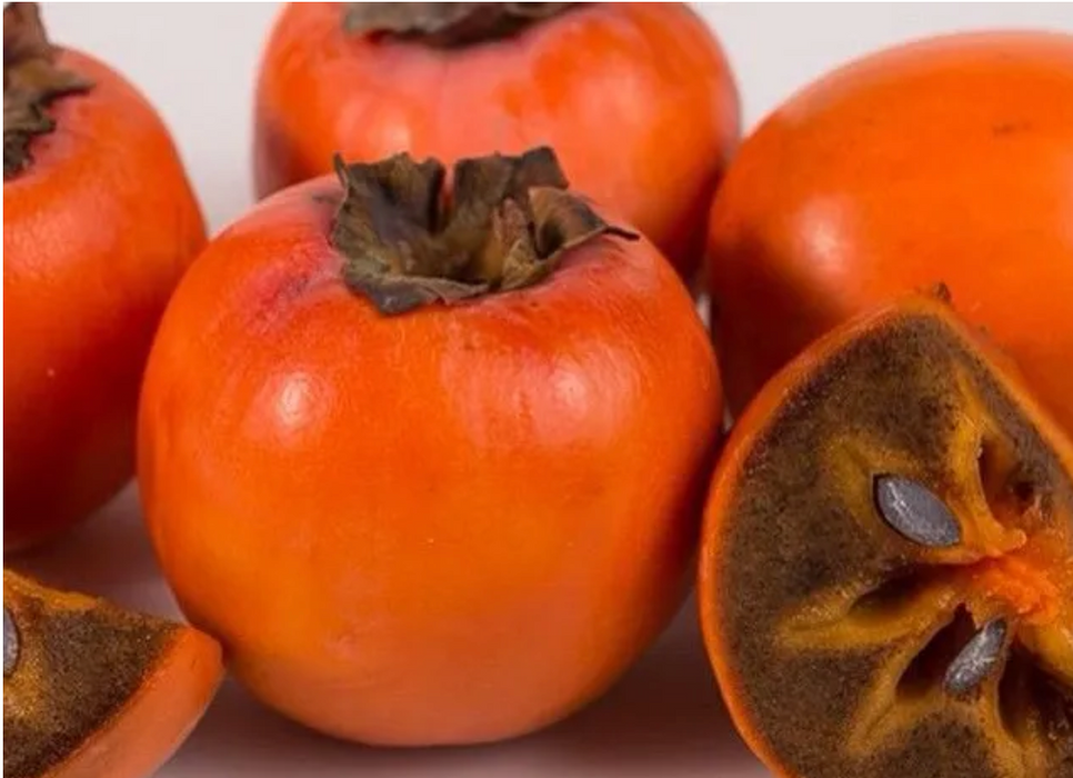 Chocolate Persimmon 2 Gallon