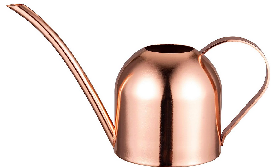 Rose Gold Watering Can