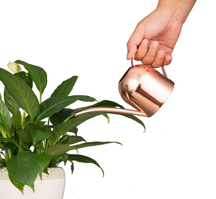 Rose Gold Watering Can