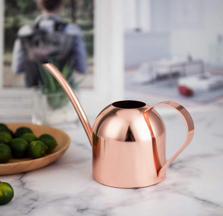 Rose Gold Watering Can